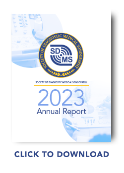 SDMS Annual Report