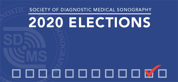 elections2020_768x353 elections2020_768x353