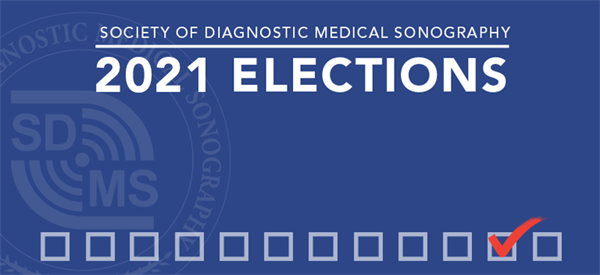 elections2021_768x353 elections2021_768x353