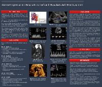 2019 2nd Place Sonographer Poster