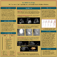 2020 2nd Place Sonographer Poster