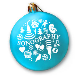 SDMS Holiday Ornament - Aqua