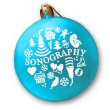 SDMS Holiday Ornament - Aqua