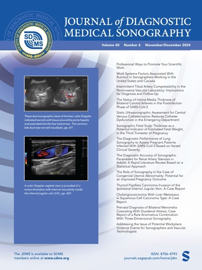 SDMS Annual Report 2024