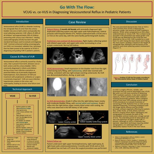 2020 Sonographer Poster 2nd Place - Go With The Flow