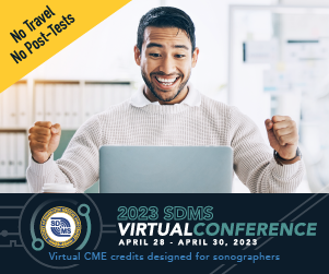 2023 SDMS Virtual Conference